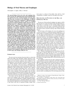 Biology of Oral Mucosa and Esophagus