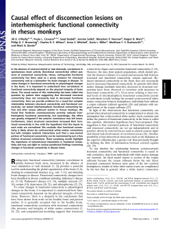 Causal effect of disconnection lesions on interhemispheric