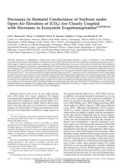 Decreases in Stomatal Conductance of Soybean