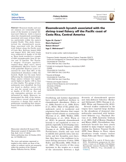 NOAA Elasmobranch bycatch associated with the