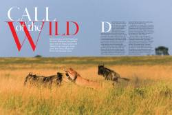 Read about Dr Iroshini`s Family Adventure in Call