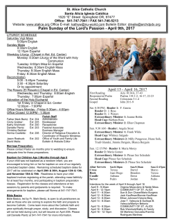 Palm Sunday of the Lord`s Passion - April 9th, 2017 April 15