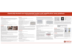 Chemically-Heated Non-Instrumented Nucleic-Acid