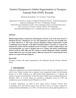 Eastern Chimpanzee`s habitat fragmentation in Nyungwe National