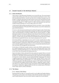 23 WGEF Report - Sec 21 Smooth-hounds in the Northeast