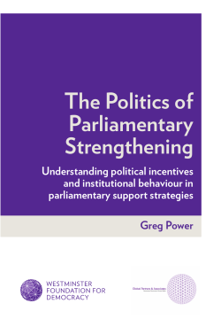 The Politics of Parliamentary Strengthening