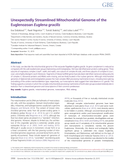 Unexpectedly Streamlined Mitochondrial Genome of the