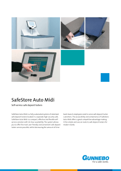 SafeStore Auto Midi