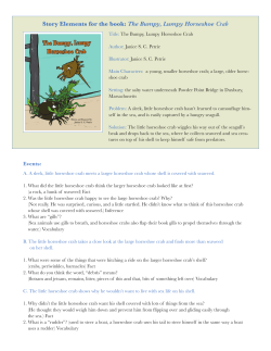 Free Teacher Curriculum