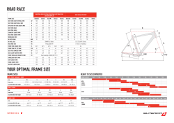 your optimal frame size road race
