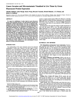 Cancer Invasion and Micrometastasis Visualized in Live Tissue by