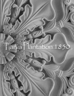 Tarva Plantation 1850