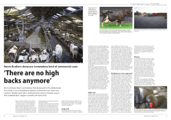 The Hoorn Brothers Melkvee February 2017