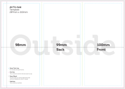Orb Print - A4 Trifold Template