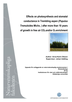 Effects on photosynthesis and stomatal conductance in Trembling