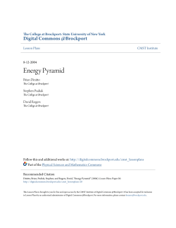Energy Pyramid - Digital Commons @Brockport