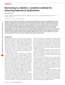 Burrowing in rodents: a sensitive method for detecting behavioral