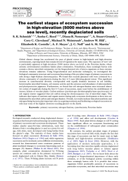The earliest stages of ecosystem succession in high