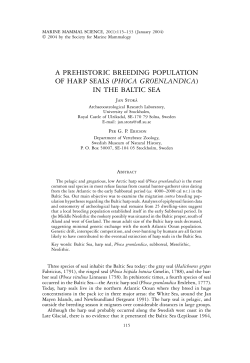 a prehistoric breeding population of harp seals