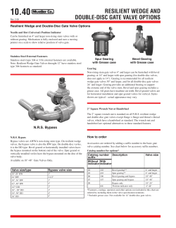 resilient wedge and double-disc gate valve options