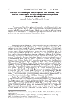 Disjunct Lake Michigan Populations of Two Atlantic Coast Spiders