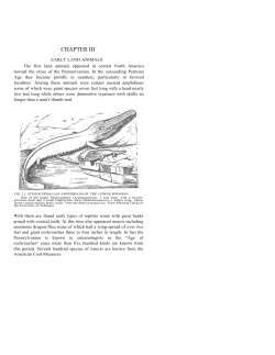 Early Land Animals - University of Kentucky