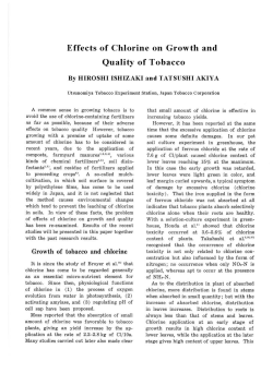 Effects of Chlorine on Growth and Quality of Tobacco