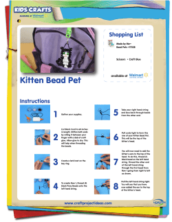 Kitten Bead Pet - Craft Project Ideas