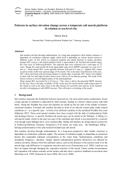 Patterns in surface elevation change across a temperate salt marsh