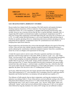 Lily Bulb Maturity, Dormancy Studied, Vol. 14, Issue 1