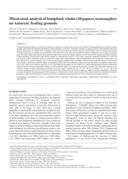 Mixed-stock analysis of humpback whales (Megaptera