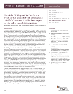 Use of the PURExpress&reg; in vitro Protein Synthesis Kit