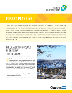 Forest planning