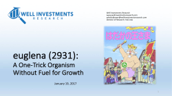 euglena Presentation - Well Investments Research
