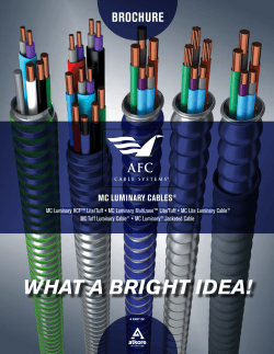 Luminary MC Cable - Bray Sales Co., LLC