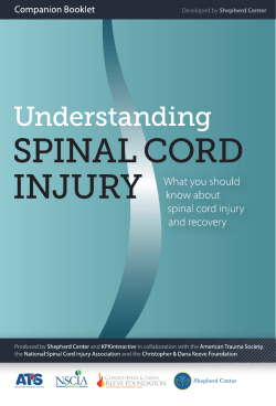 Table of Contents - Understanding Spinal Cord Injury