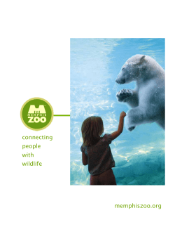 From Animal Menagerie to World