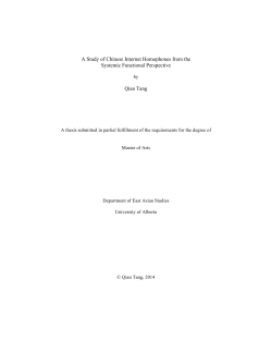 A Study of Chinese Internet Homophones from the Systemic