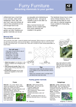 Furry Furniture - The Wildlife Trusts