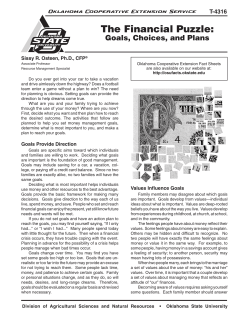 T-4316 The Financial Puzzle: Goals, Choices