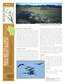 Bass Lake Fen and Lunch Creek Sedge Meadow