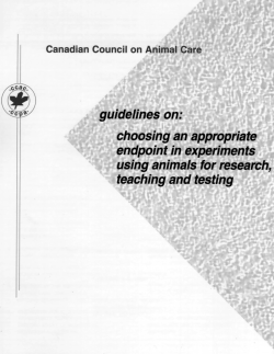 choosing an appropriate endpoint in experiments using animals for