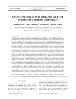 Short-term variability in microbial food web dynamics in a shallow