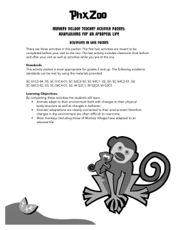 Monkey Village Teacher Activity Packet