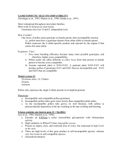 Major differences between Gametophytic and sporophytic self