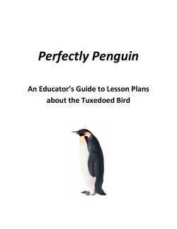 Perfectly Penguin Lesson Plans