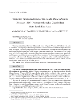 Scopolia_54 TISK.pmd