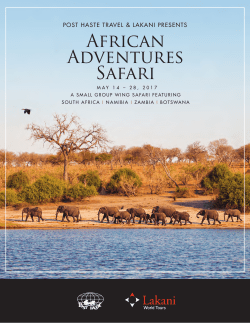 African Safari Adventures