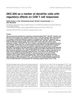 DEC-205 as a marker of dendritic cells with regulatory effects on