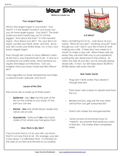 answer key - Super Teacher Worksheets